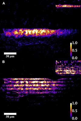 Thermally Resilient Planar Waveguides in Novel nc-YSZ Transparent Ceramic by fs Laser Pulses